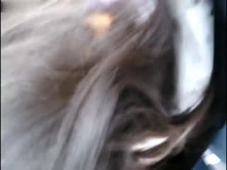 太牛逼了,竟然敢在公交车上撸射眼镜学生妹