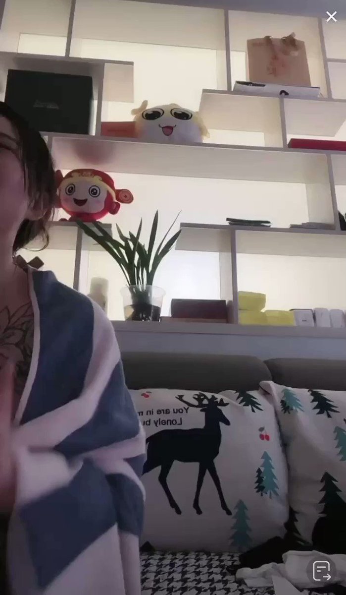 左青龙右白虎 老牛在胸前 此乃社会我